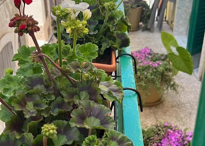 La Casa Di Nonna Sisina
